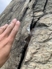 5c in free solo per la vipera