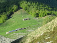 Alpe d'Attia salendo in vetta