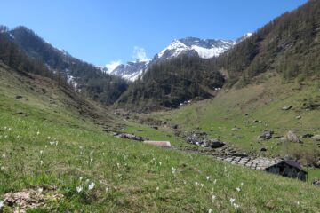 Gianna prometteva pareti e fiumi