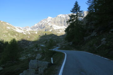 inizio gita con passeggiata sulla strada asfaltata