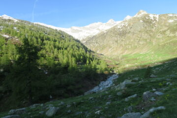 il vallone da salire