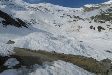 da qui in su tutto ben coperto
