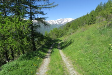 la strada poderale che riporta ad Eternod