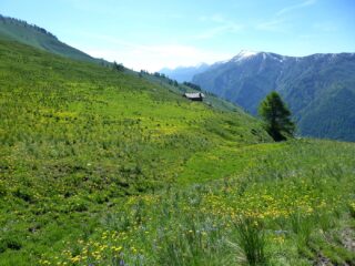 Salendo al Colle della Battagliola.