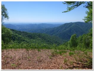 Panorama dalla Cima Alagni