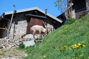 Colazione al rifugio prima dell’affollamento