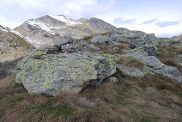 Sulla Cima del Vallone