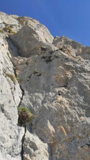 L5: ATTENZIONE poco dopo il passo in foto è saltata una piastrina!