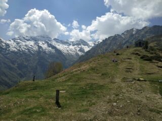 Alle Selle.