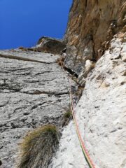 Il diedrone muschiato di L1