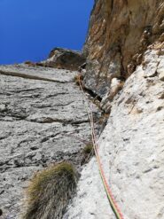 Il diedrone muschiato di L1