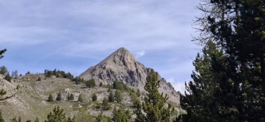 Cima in vista
