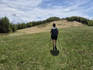 verso court de bard