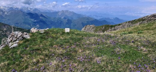 Cippo di confine