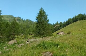 Alpe Comba