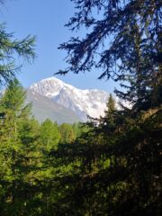 0  HB = 3,9,0 FN=0 FB = 0 outdoor = 1 ISO = 50.000000 exp=0.874891 return=0  FM0 CR1.85 [3,9,0] Prymid2 maxDarkArea4.23 maxBrightArea0.14 maxPeakNotSat2.23 dr53.63 br2.28 wdr39.10 wbr1.16 sbr0.37 ldr55.33 lns51.0 FC111011011bfalic 0000X