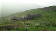l'alpe fontanile..