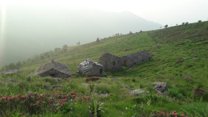 l'alpe fontanile..