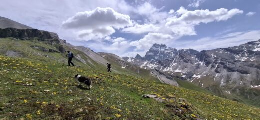 Il Viso sorveglia la salita