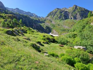 Alpe Bosa