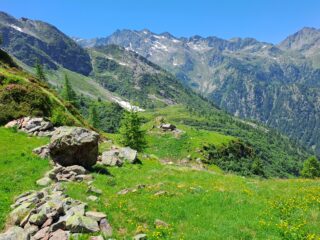 Alpe Fornale di sopra