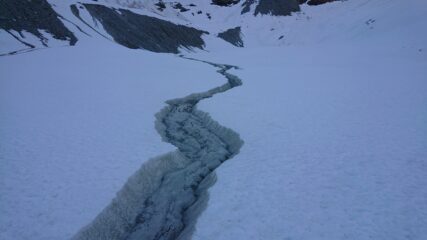 Disegni della natura