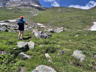 verso il pendio erboso