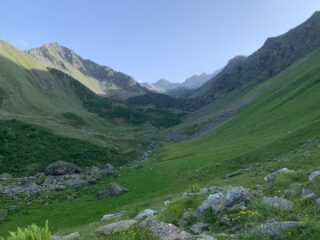 Bulè 
