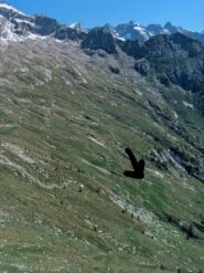 Casera a quota 2000 e traccia di accesso 