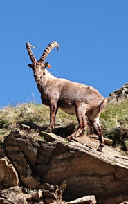 I signori del vallone