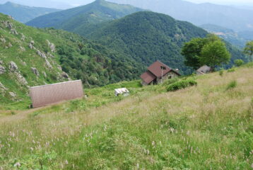All’Alpe Curgiolo, dove ho fatto dietro-front per … impraticabilità del campo.