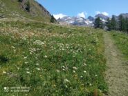 sulla via del ritorno, uno scorcio dal sentiero 7b