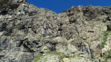 Bolli sempre evidenti