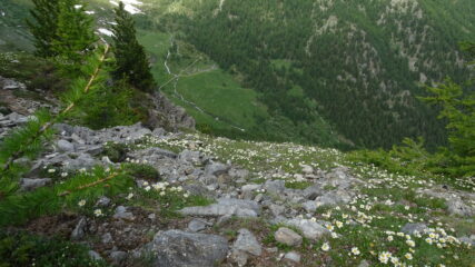 dalla costa Tardiva verso il vallone d'Ars