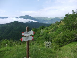 Panorama tra Tetti Cornia e la Madonna dei Cancelli