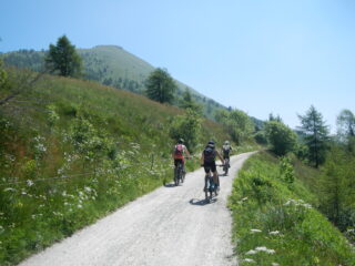 sullo sterrato della Strada dei Cannoni e Monte Birrone sullo sfondo