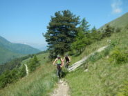 sul sentiero che sale al Colle di Melle