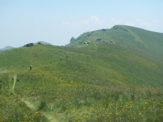 verso il Monte Cornet
