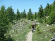 discesa nel Vallone Guiaud