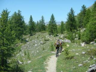 discesa nel Vallone Guiaud