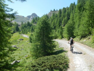 l'ottimo sterrato di salita al Col de Furfande