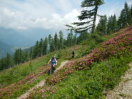 sentiero ciclabile anche in salita