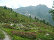 tratto spettacolare per ciclabilità e panorama