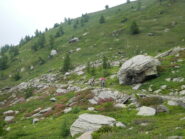 rientro verso il Colle della Balma