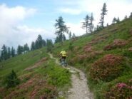 bella discesa verso la Colletta Sellar