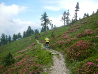 bella discesa verso la Colletta Sellar