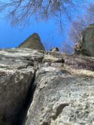 La fessura del cobra vista da sotto