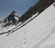 Sulla via del ritorno