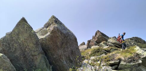 oplus_2