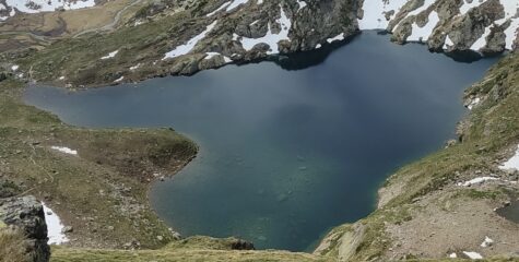Oplus_0